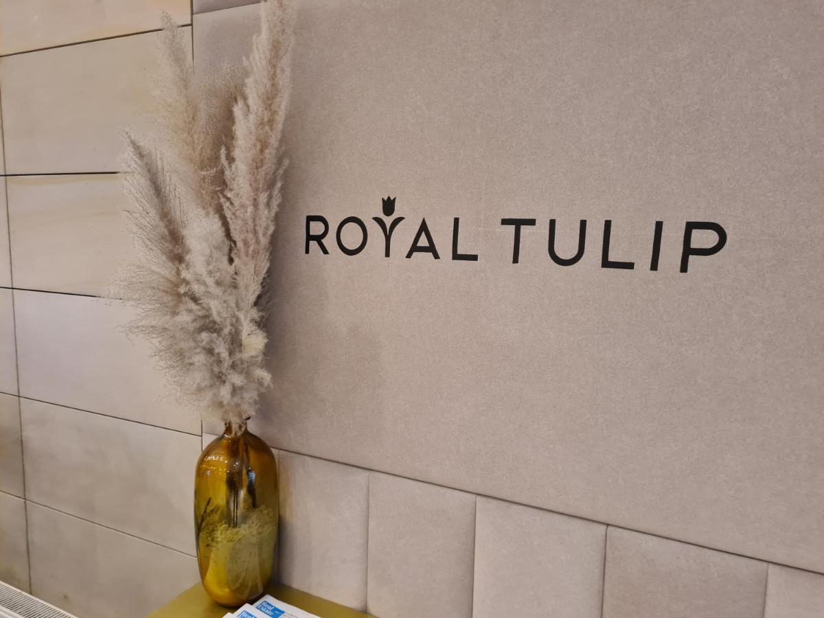 Royal Tulip *